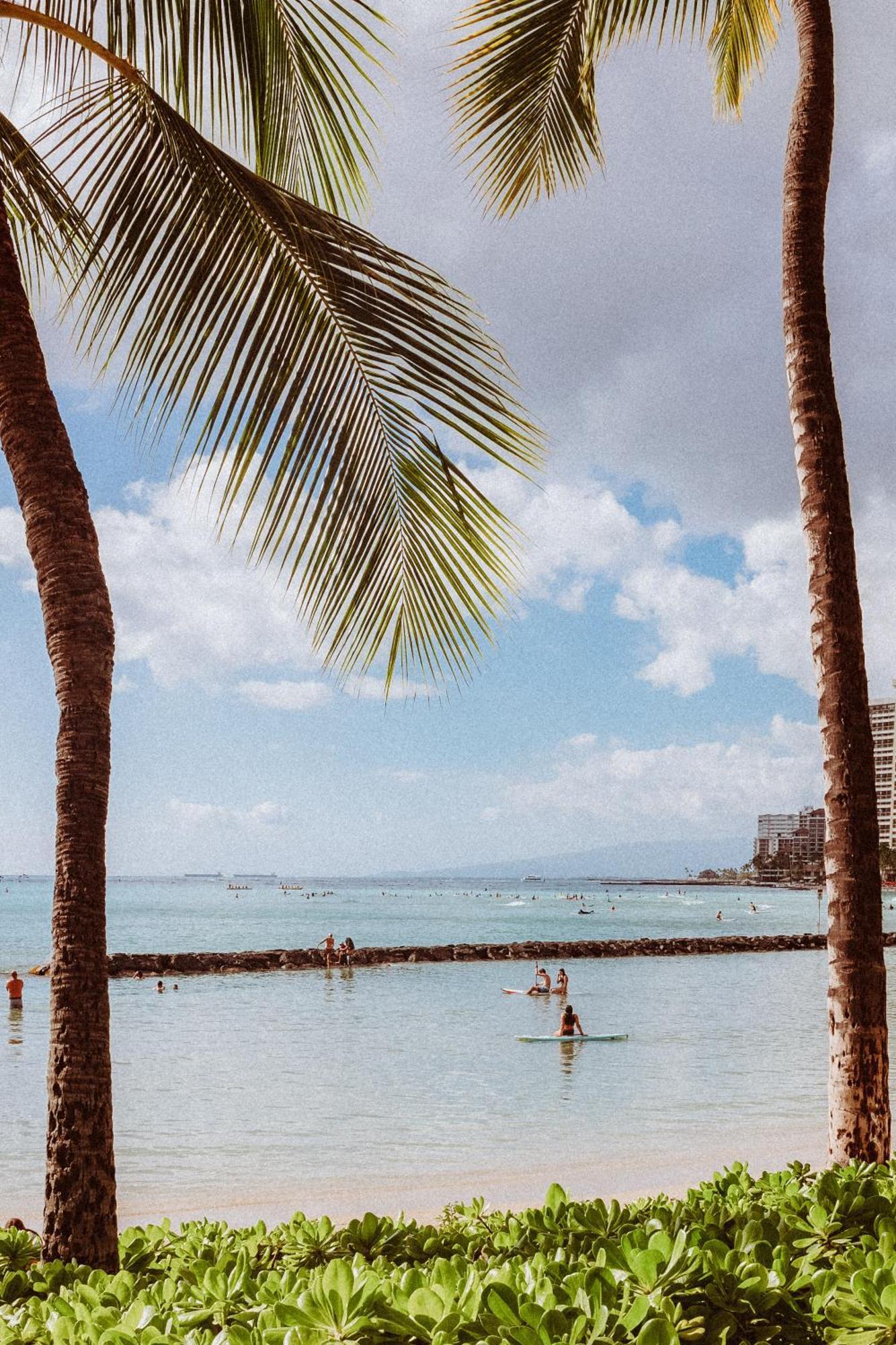 מלון הונולולו Royal Grove Waikiki מראה חיצוני תמונה
